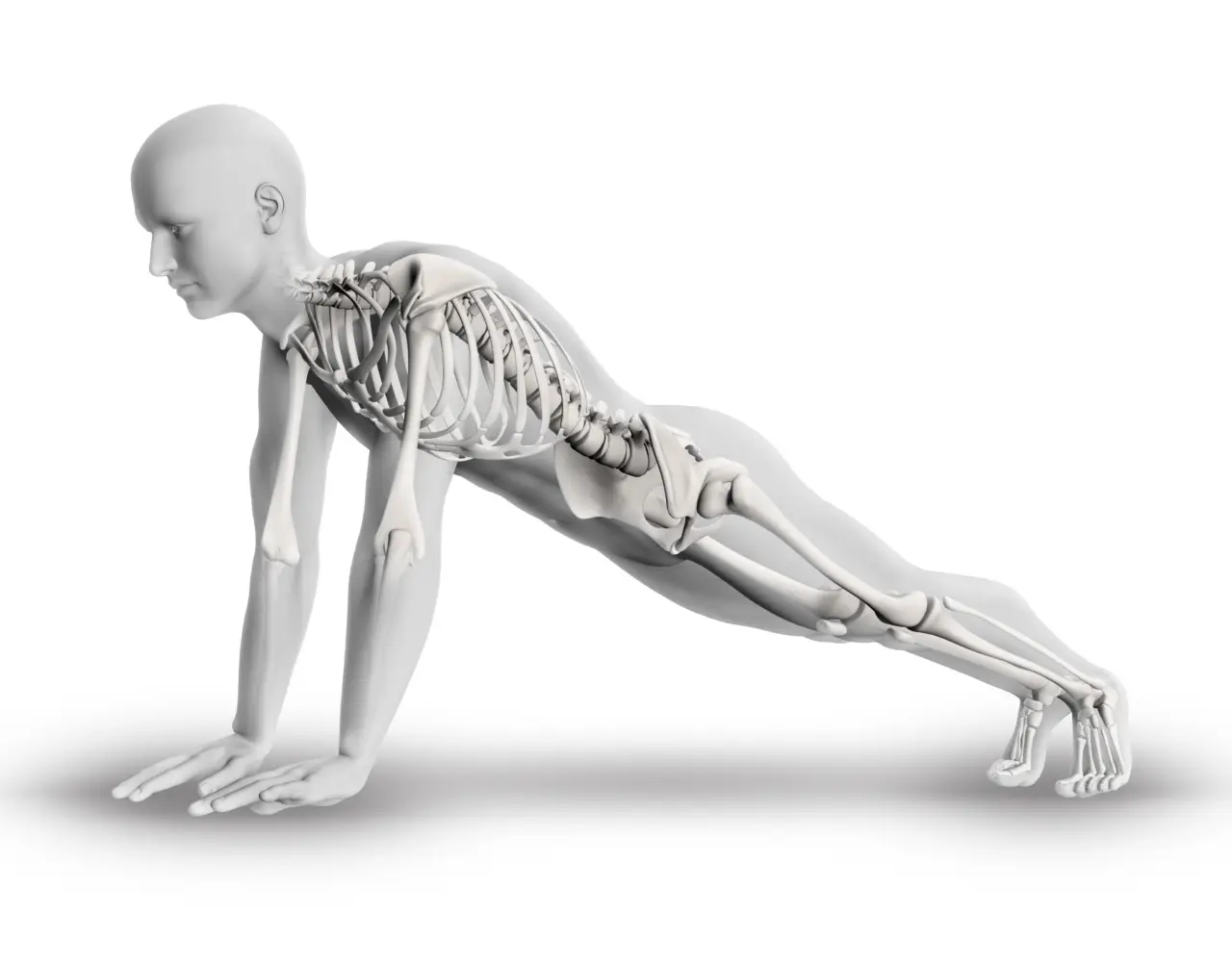 Non è troppo tardi per le tue ossa: ecco come puoi far regredire l’osteoporosi con questi cambiamenti