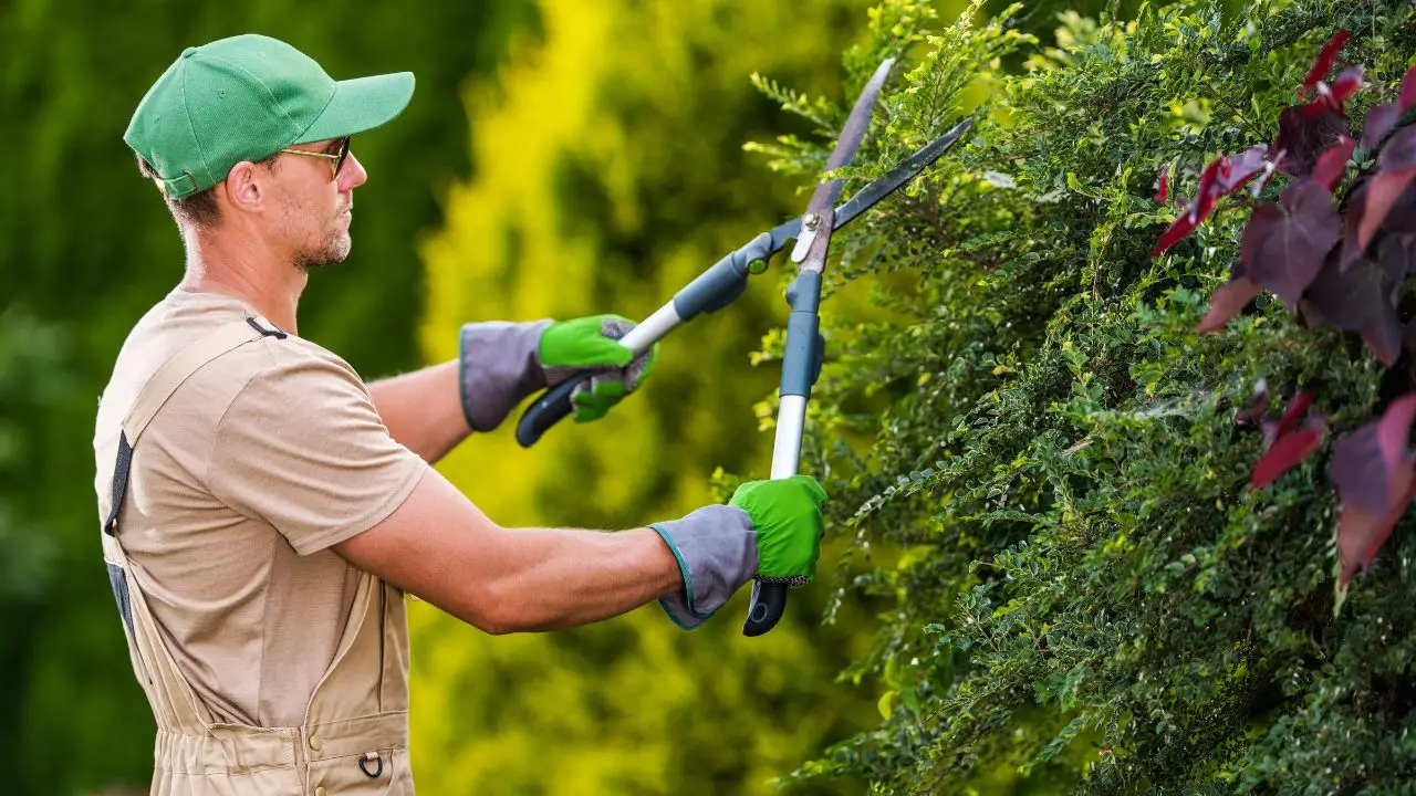La differenza tra un giardiniere e un paesaggista: ecco chi chiamare per il tuo spazio verde
