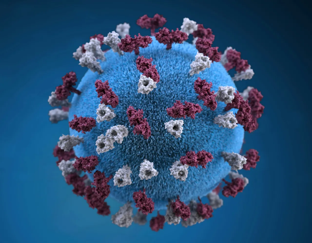 Hai il papilloma virus? Ecco cosa succede davvero se fai sesso e quando è rischioso